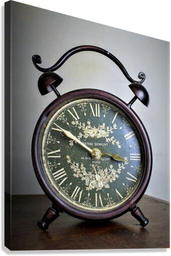 1040 Canvas Print