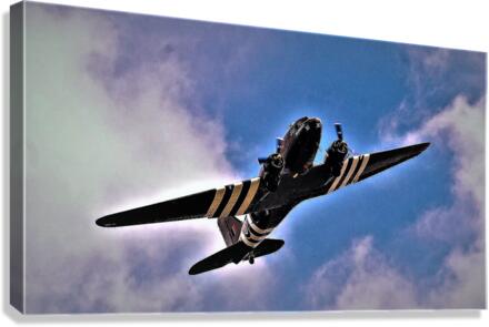 1043 Canvas Print