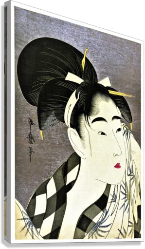 1044 Canvas Print