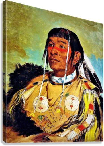 1045 Canvas Print
