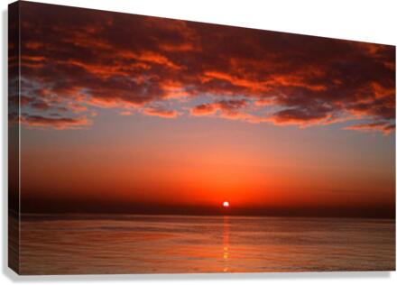 1049 Canvas Print