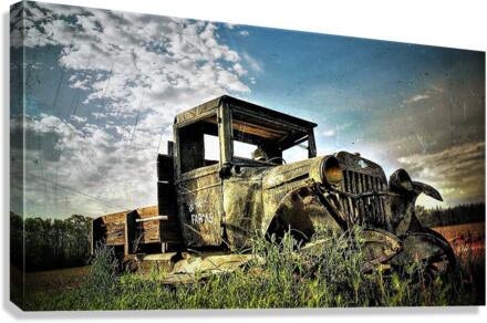 1053 Canvas Print