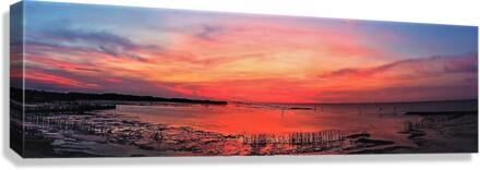 1076 Canvas Print