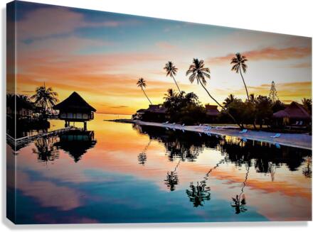 1079 Canvas Print