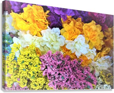 1100 Canvas Print