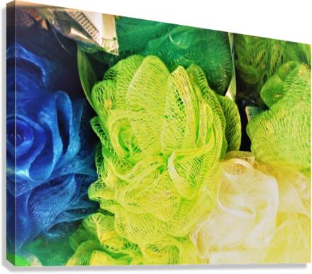 1108 Canvas Print