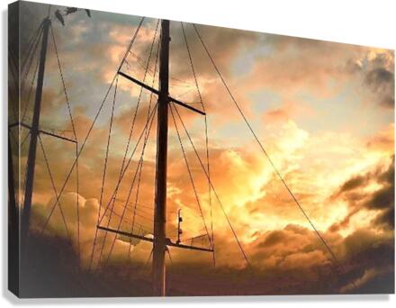 1126 Canvas Print