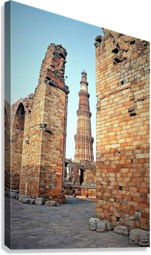 1130 Canvas Print