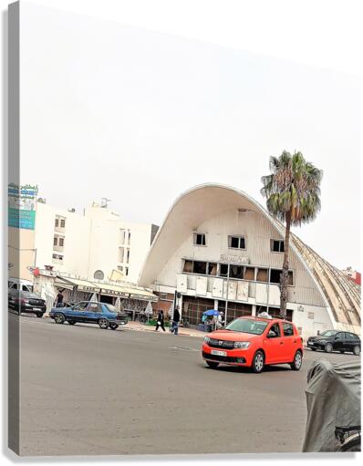 1141 Canvas Print