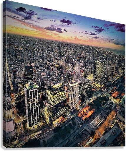 1151 Canvas Print