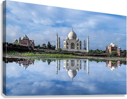 1159 Canvas Print