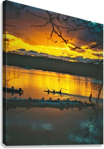 1166 Canvas Print