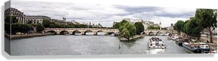 1173 Canvas Print
