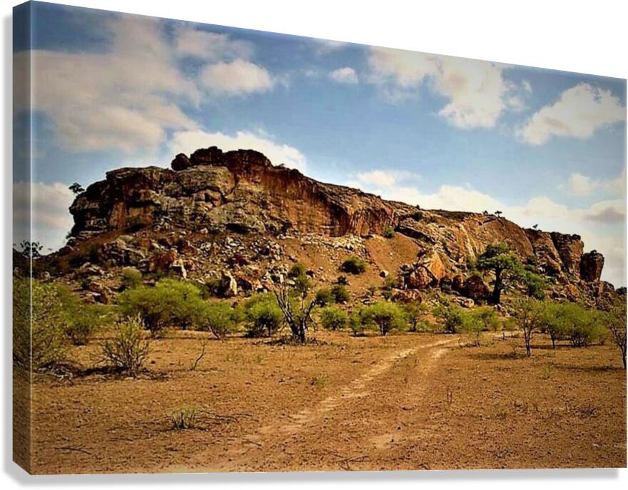 1175 Canvas Print