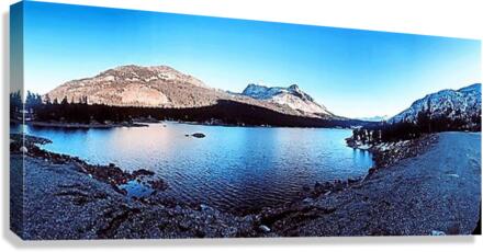 1177 Canvas Print