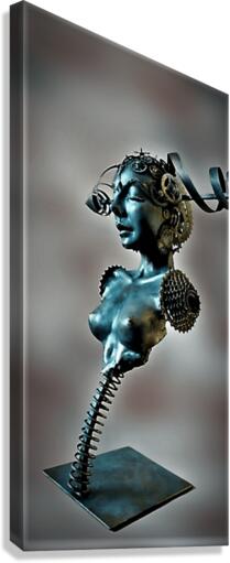 1192 Canvas Print
