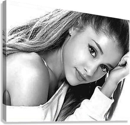 1196 Canvas Print
