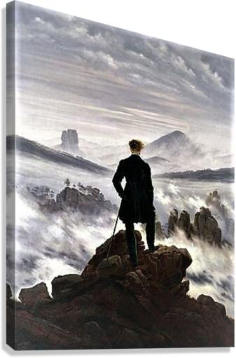 1197 Canvas Print