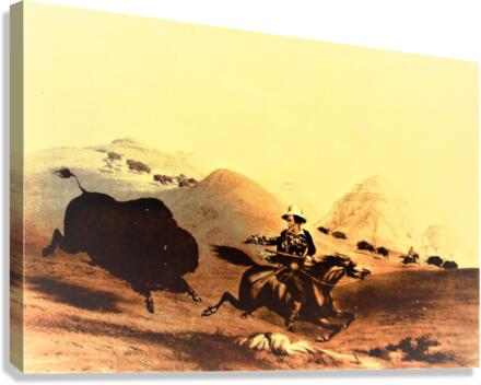 1212 Canvas Print