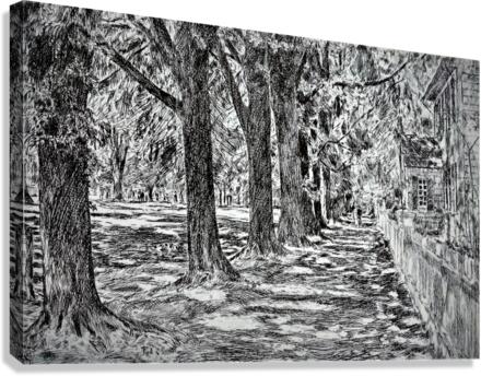 1223 Canvas Print
