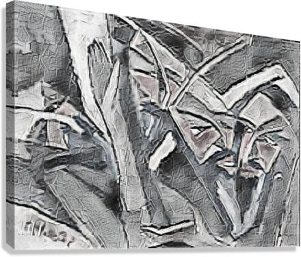 1244 Canvas Print