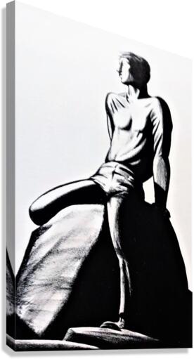 1245 Canvas Print