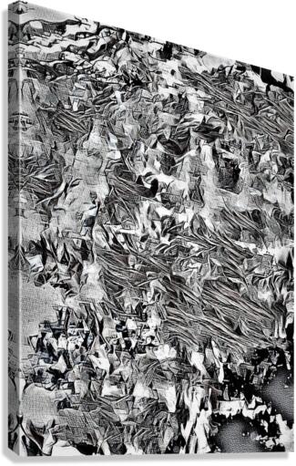1251 Canvas Print