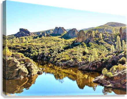1257 Canvas Print