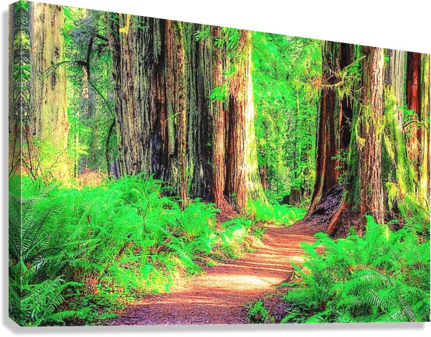 1259 Canvas Print