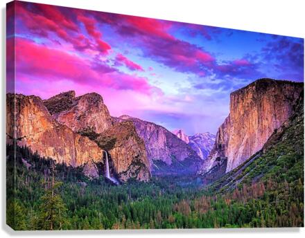 1262 Canvas Print