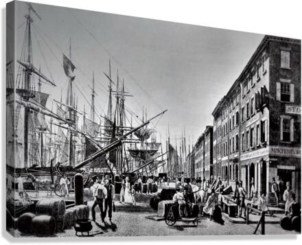 1266 Canvas Print