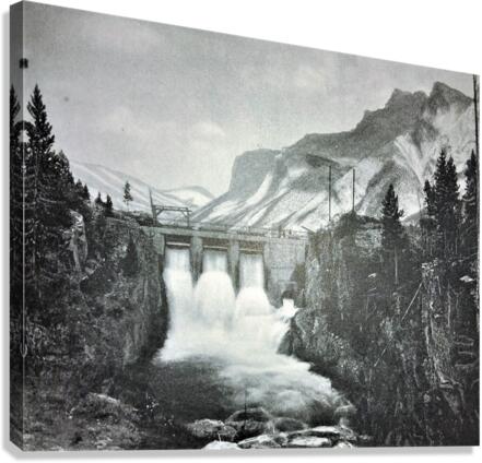 1271 Canvas Print
