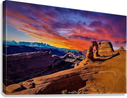 1281 Canvas Print