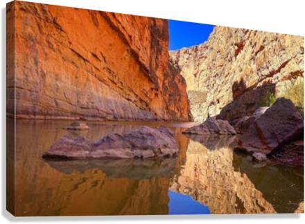 1291 Canvas Print