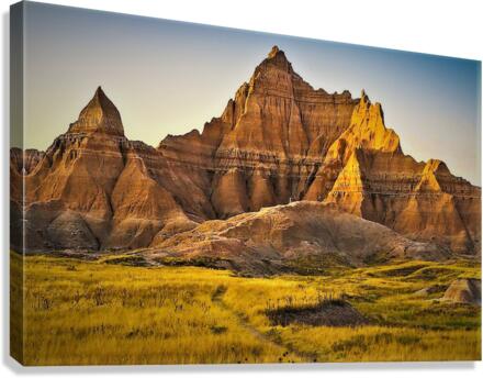1297 Canvas Print