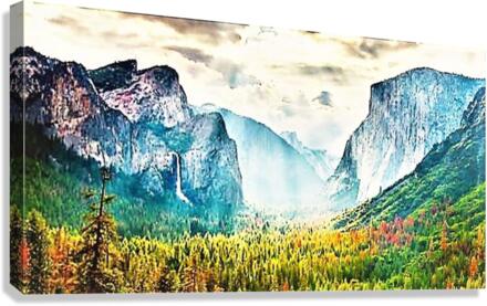 1303 Canvas Print