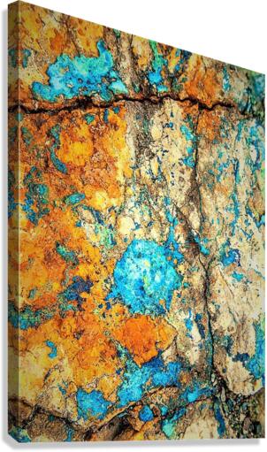 1307 Canvas Print