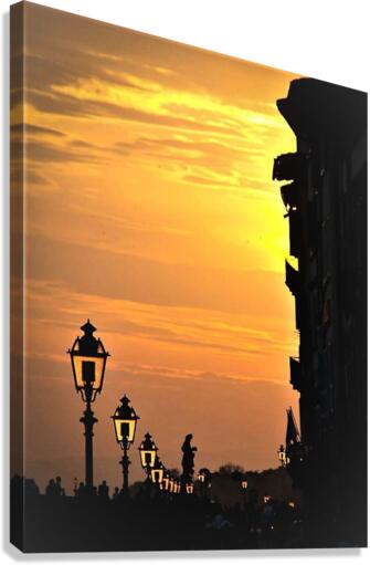 1308 Canvas Print
