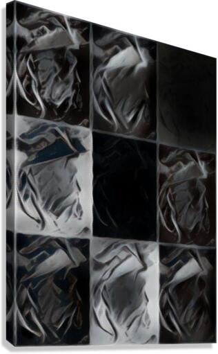 1316 Canvas Print