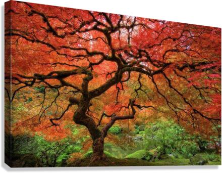 1327 Canvas Print