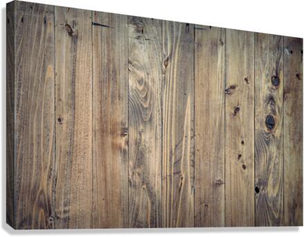 1333 Canvas Print