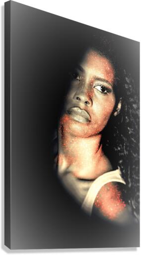 1342 Canvas Print