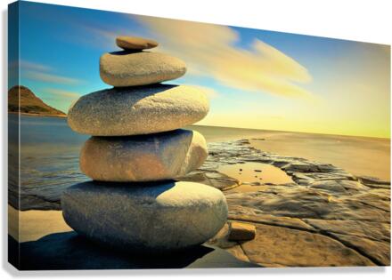 1346 Canvas Print