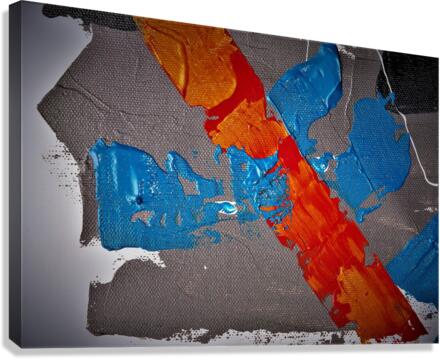 1347 Canvas Print