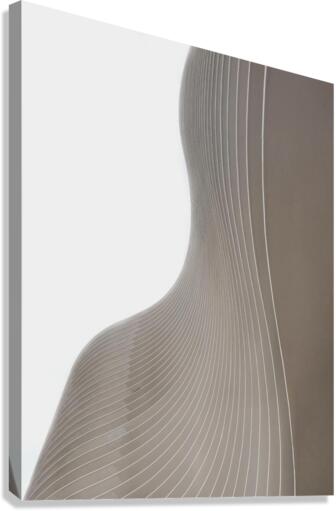 1351 Canvas Print
