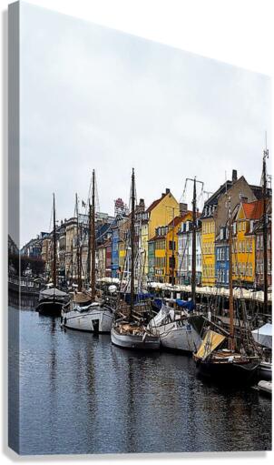 1359 Canvas Print