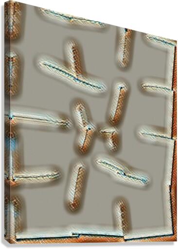 1363 Canvas Print