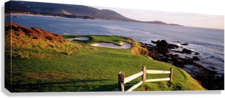 1368 Canvas Print
