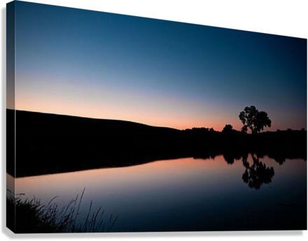 1384 Canvas Print