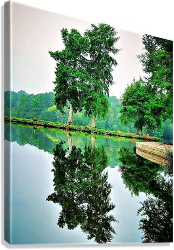 1389 Canvas Print